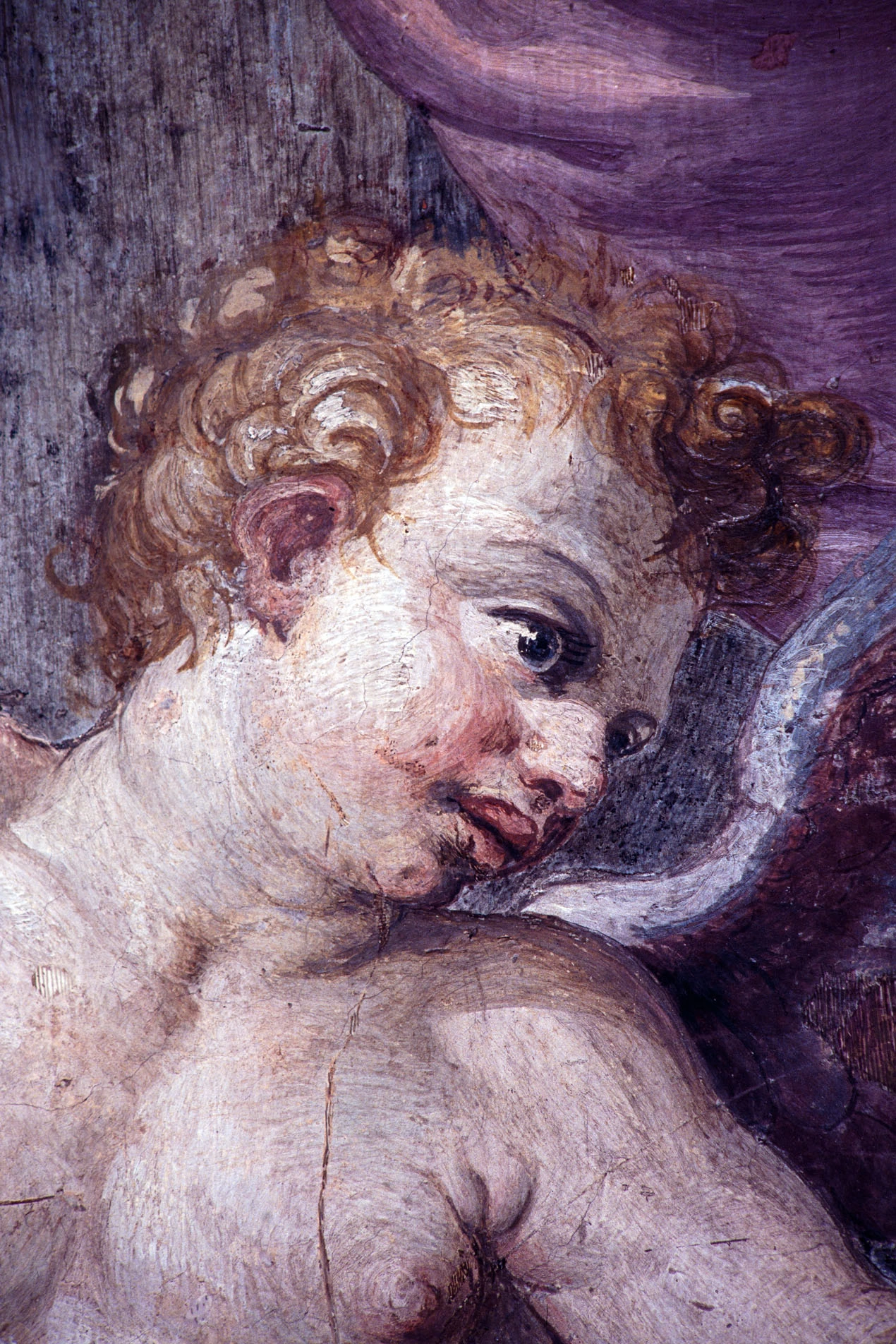 Perin del Vaga - 141, Episodi della vita di Alessandro Magno, episodi della vita di San Paolo, figure allegoriche, virtù e imprese farnesiane, Castel Sant'Angelo, Roma 12